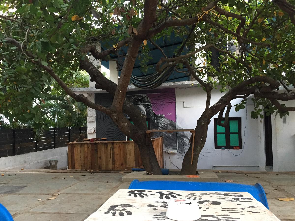 Green Rover Hostel By Gypstead Vagator Ngoại thất bức ảnh
